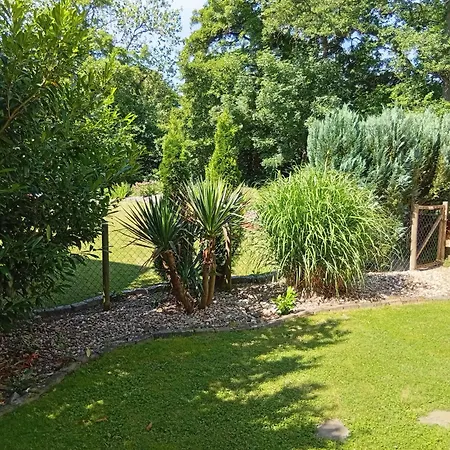 Haus Am Wanderweg Apartamento *